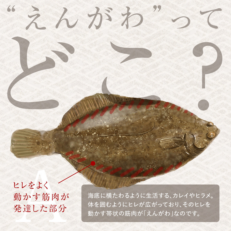 【12月発送】『えんがわわさび』（400g）カレイ かれい エンガワ 魚介類 海産物 海鮮 寿司 酒の肴 北海道 羅臼町 生産者 支援 応援  F21M-962L|カネサン佐藤