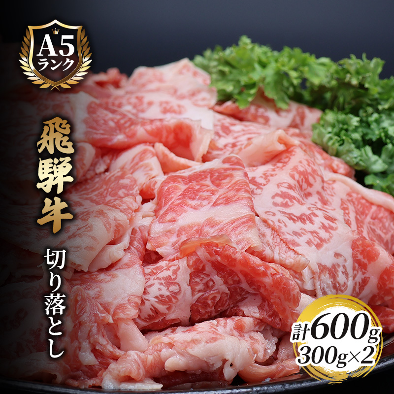 【岐阜県池田町】飛騨牛切り落とし 600g(300g×2) 牛肉 お肉 国産 黒毛和種 柔らかい とろける くちどけが良い 霜降り 細かいサシ 食材 食卓 グルメ