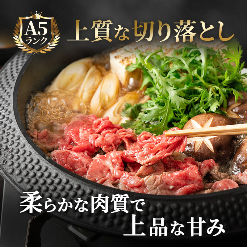 岐阜県池田町のふるさと納税 飛騨牛切り落とし　600ｇ(300g×2) 牛肉 お肉 国産 黒毛和種 柔らかい とろける くちどけが良い 霜降り 細かいサシ 食材 食卓 グルメ