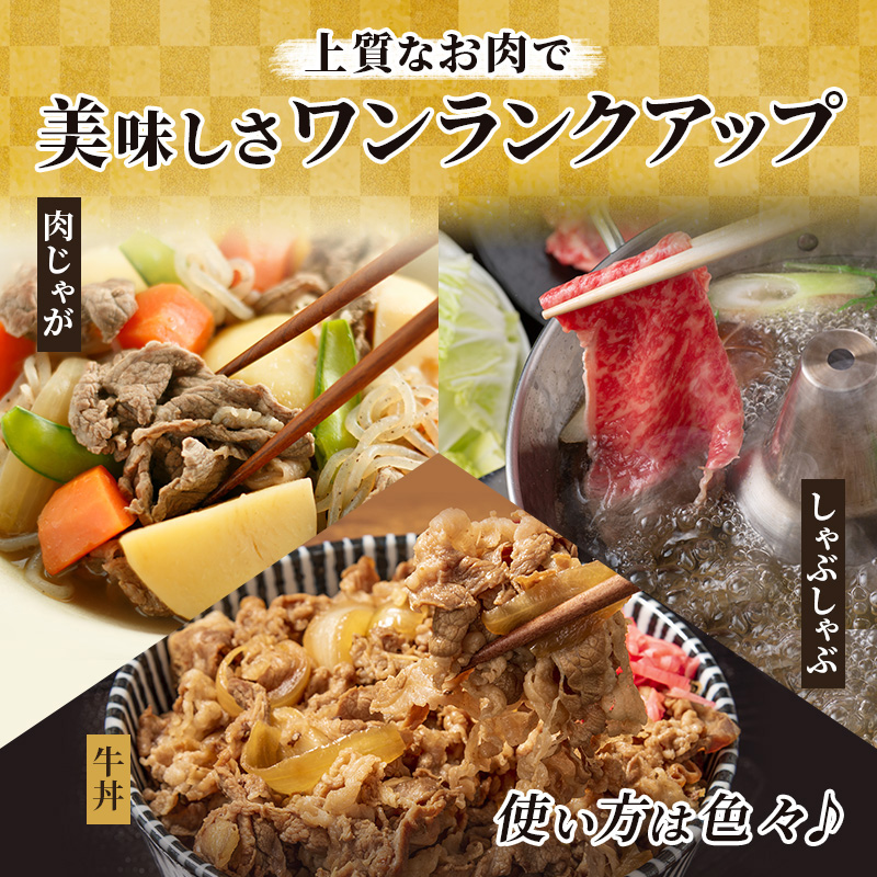 岐阜県池田町のふるさと納税 飛騨牛切り落とし　600ｇ(300g×2) 牛肉 お肉 国産 黒毛和種 柔らかい とろける くちどけが良い 霜降り 細かいサシ 食材 食卓 グルメ