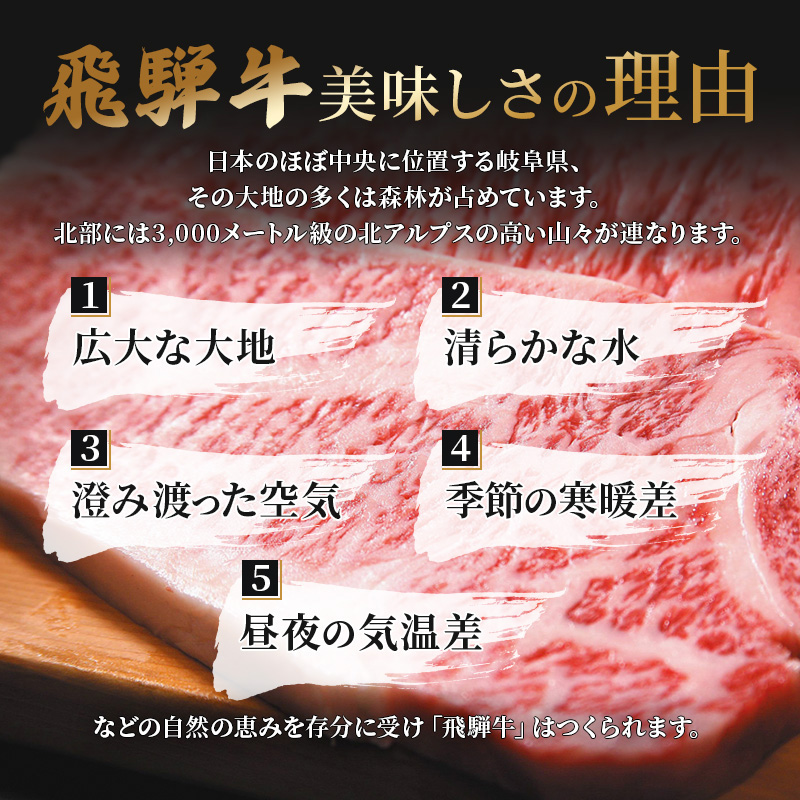 岐阜県池田町のふるさと納税 飛騨牛切り落とし　600ｇ(300g×2) 牛肉 お肉 国産 黒毛和種 柔らかい とろける くちどけが良い 霜降り 細かいサシ 食材 食卓 グルメ