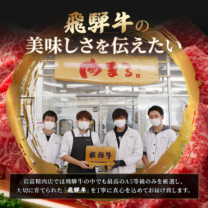 岐阜県池田町のふるさと納税 飛騨牛切り落とし　600ｇ(300g×2) 牛肉 お肉 国産 黒毛和種 柔らかい とろける くちどけが良い 霜降り 細かいサシ 食材 食卓 グルメ