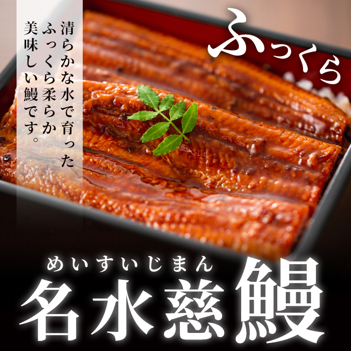 鹿児島県志布志市のふるさと納税 鹿児島県産うなぎ蒲焼 名水慈鰻 特大3尾(1尾190g以上)＜計570g以上＞ b3-006