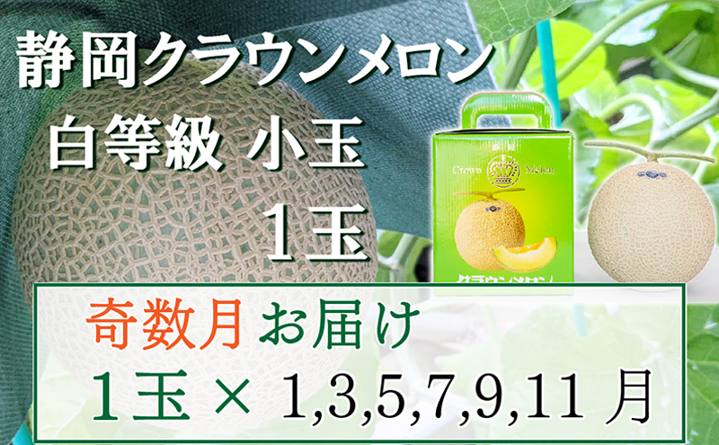 【静岡県袋井市】【奇数定期便】クラウンメロン【並(白等級)】小玉(1.1kg前後)1玉入り 果物 メロン青肉 フルーツ デザート 高級メロンブランド 高級メロン ブランドメロン