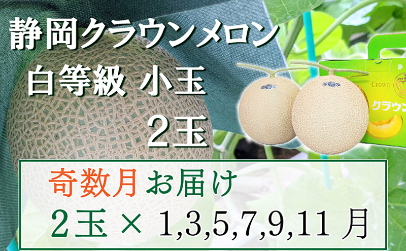 【静岡県袋井市】【奇数定期便】クラウンメロン【並(白等級)】小玉(1.1kg前後)2玉入り 果物 メロン青肉 フルーツ デザート 高級メロンブランド 高級メロン ブランドメロン