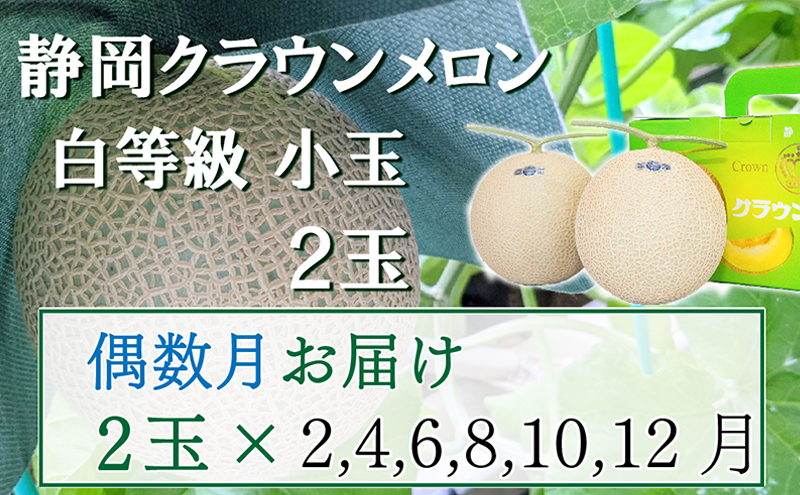 【静岡県袋井市】【偶数定期便】クラウンメロン【並(白等級)】小玉(1.1kg前後)2玉入り 果物 メロン青肉 フルーツ デザート 高級メロンブランド 高級メロン ブランドメロン