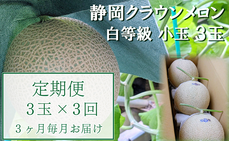 【静岡県袋井市】【3か月定期便】クラウンメロン【並(白等級)】小玉(1.1kg前後)3玉入り 果物 メロン青肉 フルーツ デザート 高級メロンブランド 高級メロン ブランドメロン