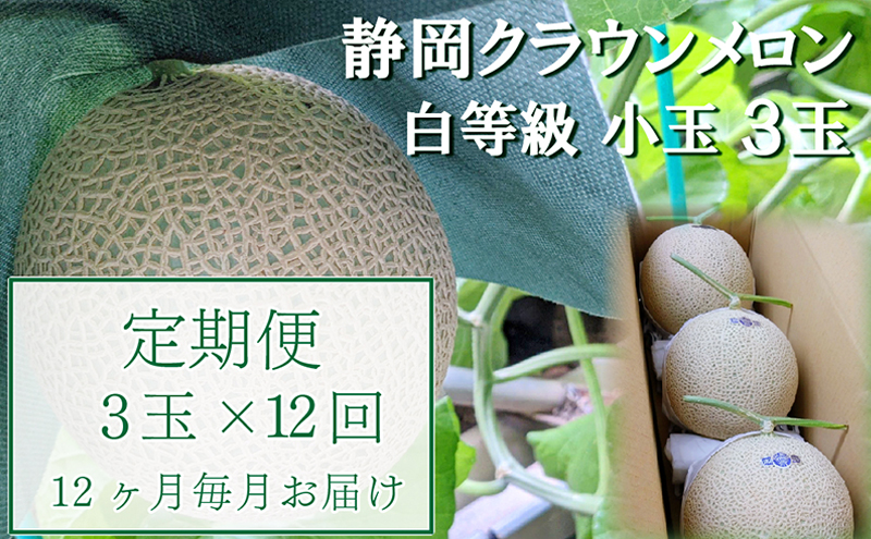 【静岡県袋井市】【12か月定期便】クラウンメロン【並(白等級)】小玉(1.1kg前後)3玉入り 果物 メロン青肉 フルーツ デザート 高級メロンブランド 高級メロン ブランドメロン