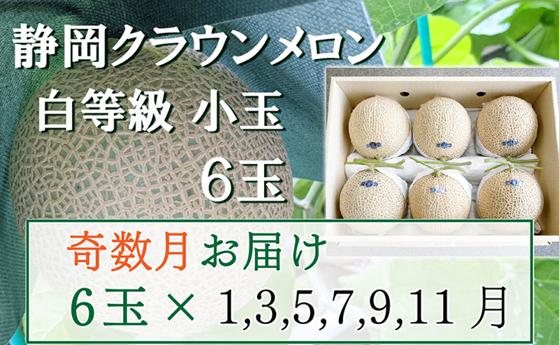 【静岡県袋井市】【奇数定期便】クラウンメロン【並(白等級)】小玉(1.1kg前後)6玉入り 果物 メロン青肉 フルーツ デザート 高級メロンブランド 高級メロン ブランドメロン