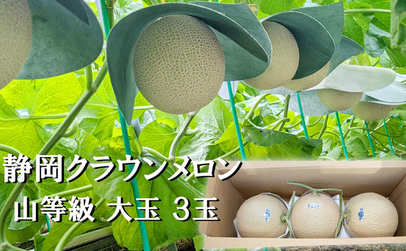 【静岡県袋井市】クラウンメロン山等級1.4kg前後 3玉入り 果物 メロン青肉 フルーツ デザート 高級メロンブランド 高級メロン ブランドメロン