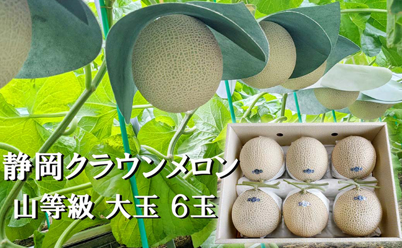 【静岡県袋井市】クラウンメロン山等級1.4kg前後 6玉入り 果物 メロン青肉 フルーツ デザート 高級メロンブランド 高級メロン ブランドメロン