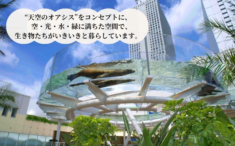 東京都豊島区のふるさと納税 サンシャイン水族館＋サンシャイン60展望台 セット券（大人・こどもペア）