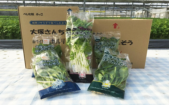 サラダほうれん草セット（22袋入り）　静岡県裾野市　セゾンのふるさと納税