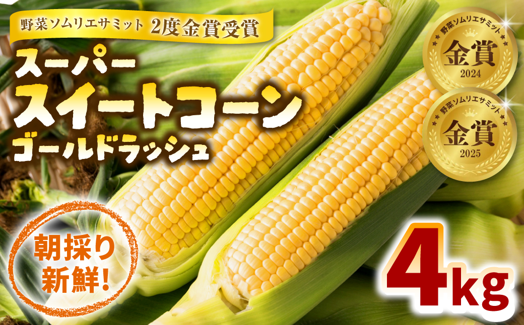 熊本県八代市産 スイートコーン ゴールドラッシュ 4kg 熊本県八代市産 スイートコーン ゴールドラッシュ 4kg