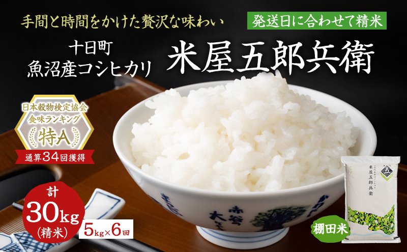雪室貯蔵米】令和5年産 魚沼産コシヒカリ 玄米30kg 5年産【SALE】 雪室貯蔵米】令和5年産 魚沼産コシヒカリ 玄米30kg 5年産【SALE】