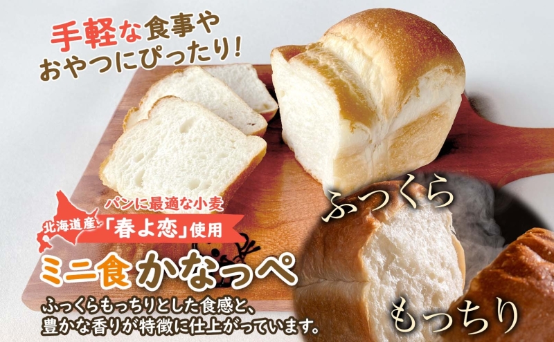 【6ヵ月定期便】食パン2斤、ミニ食かなっぺ2個|株式会社K.DEPART