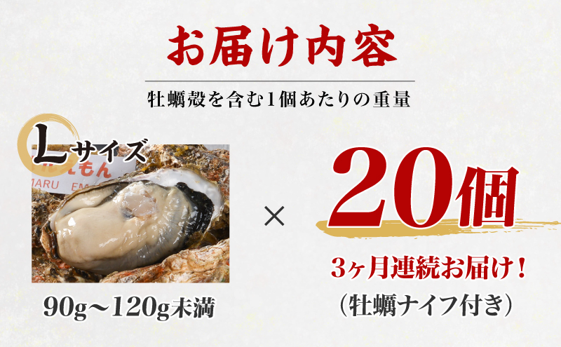 北海道厚岸町のふるさと納税 定期便 3ヶ月 北海道 厚岸産 牡蠣 Lサイズ 20個 (各回20個×3ヶ月分,合計60個) 殻付き 生食 カキナイフ付き かき カキ