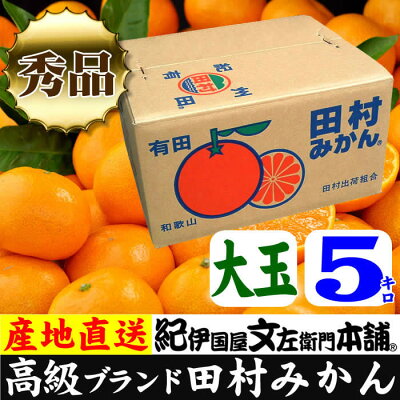 V7299_【2024年 先行予約】田村みかん / 5kg秀品【大玉サイズ】/ 紀州