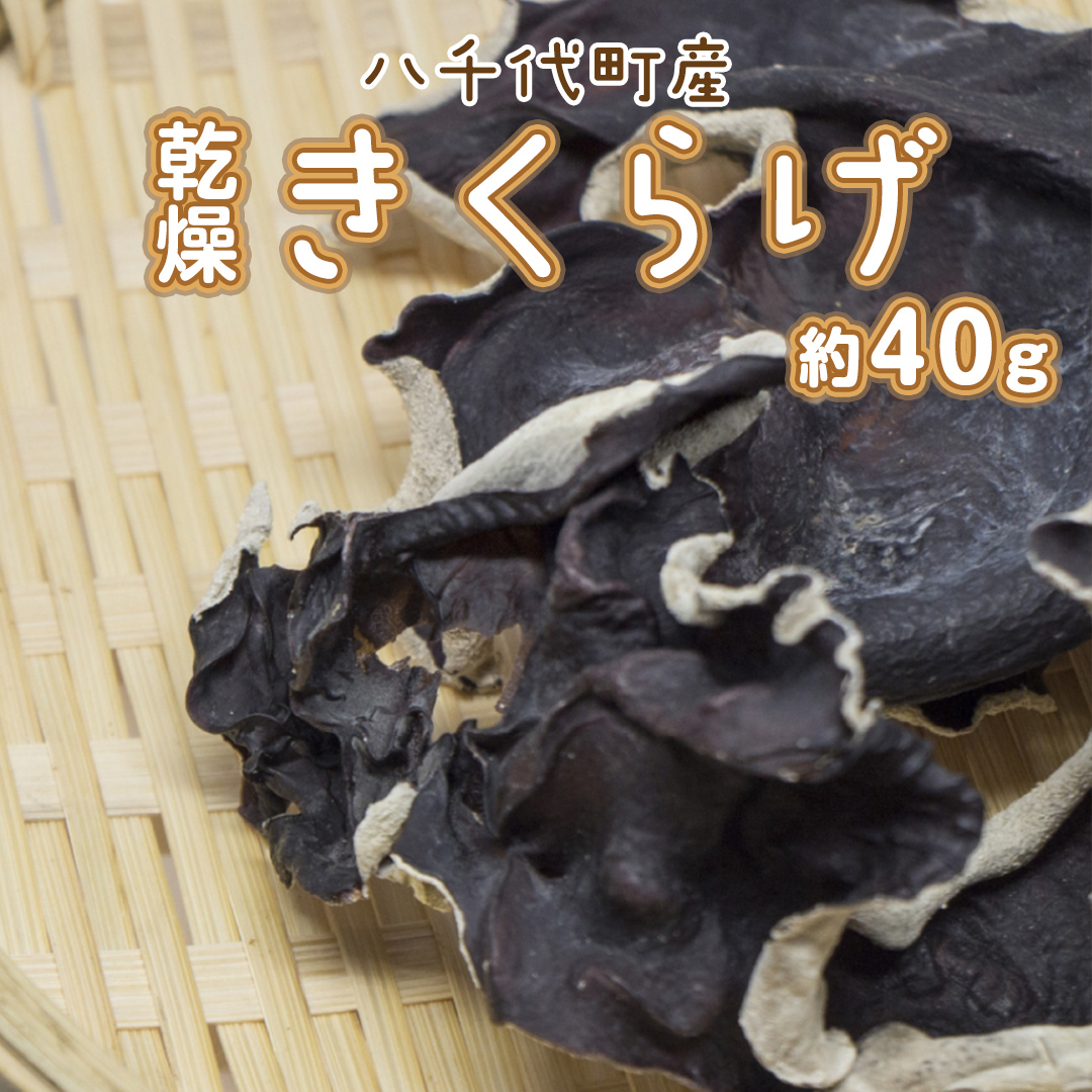 八千代町産 乾燥 きくらげ 約 40g キクラゲ 木耳 きのこ キノコ