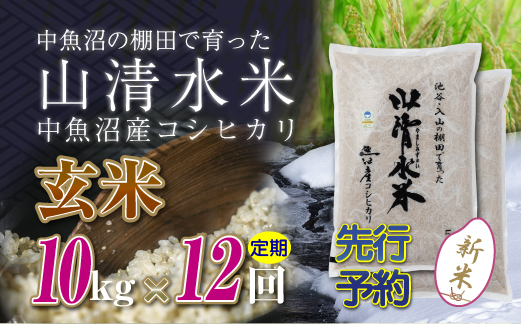 【新米先行受付】【定期便／全12回】玄米10kg　新潟県魚沼産コシヒカリ「山清水米」