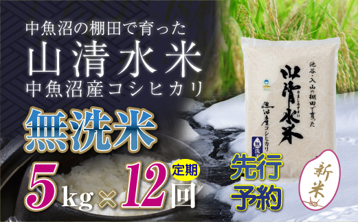 【新米先行受付】【定期便／全12回】無洗米5kg　新潟県魚沼産コシヒカリ「山清水米」