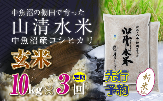 【新米先行受付】【定期便／全3回】玄米10kg　新潟県魚沼産コシヒカリ「山清水米」