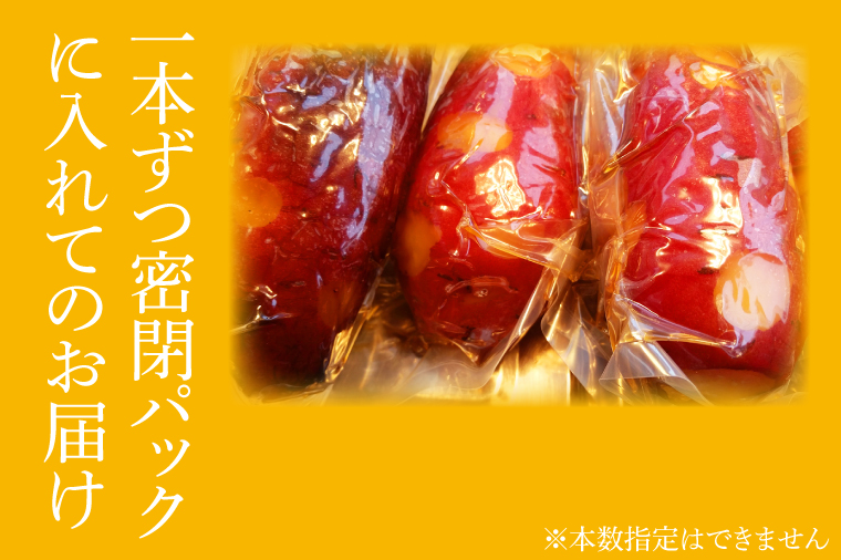 茨城県行方市のふるさと納税 FS-1　【2025年2月以降より発送】【さつまいも博/全国やきいもグランプリ ４年連続入賞！！】【『さつまいも博2024』私が好きな「冬いもスイーツ」部門　第１位】 超蜜やきいも（冷凍）約1kg分