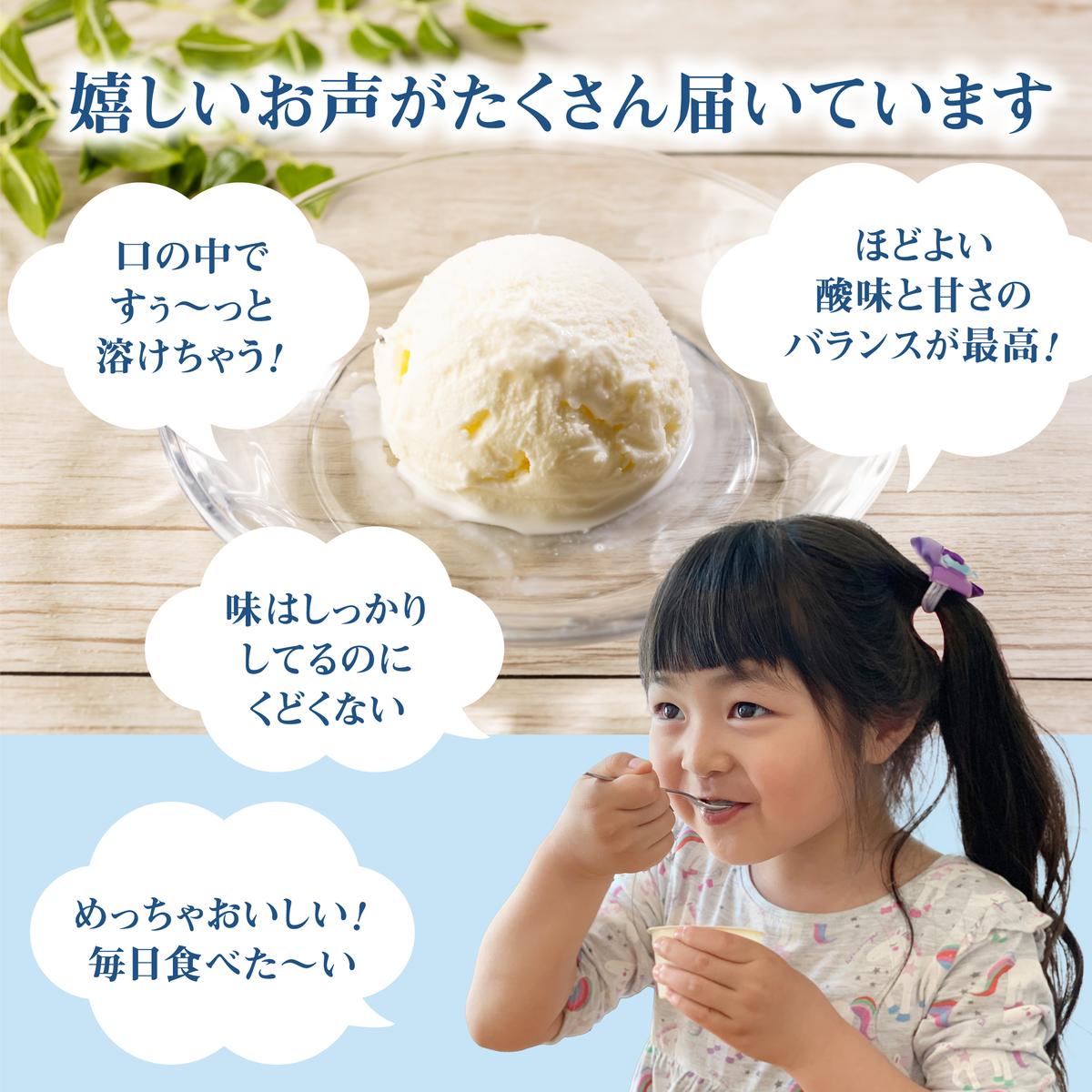 北海道中標津町のふるさと納税 【無添加】北海道 フローズンヨーグルト×6個【11038】