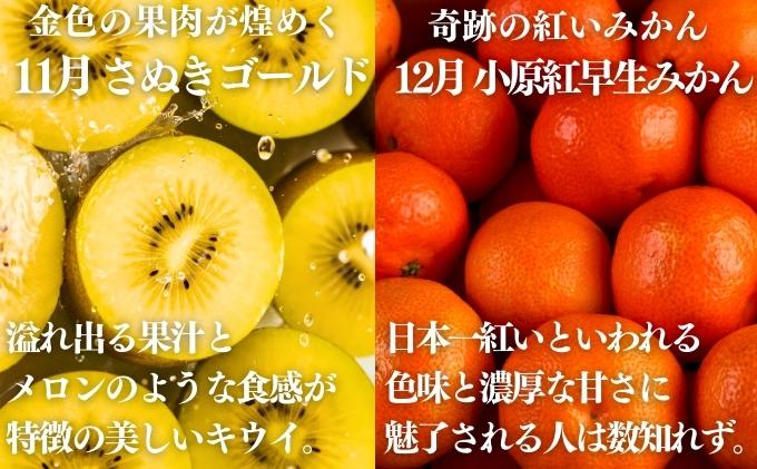 フルーツ 定期便 12ヶ月 讃州丸亀 旬の果実便り セット 詰め合わせ いちご キウイ はっさく デコポン びわ 桃 シャインマスカット みかん  ゴールドキウイ さぬきひめ 紅ほっぺ 旬の果物 くだもの 12回 1年 お楽しみ 香川