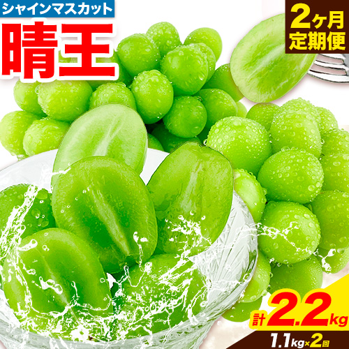 岡山県産。シャインマスカット「晴王」約5キロ。チルド発送 2025年