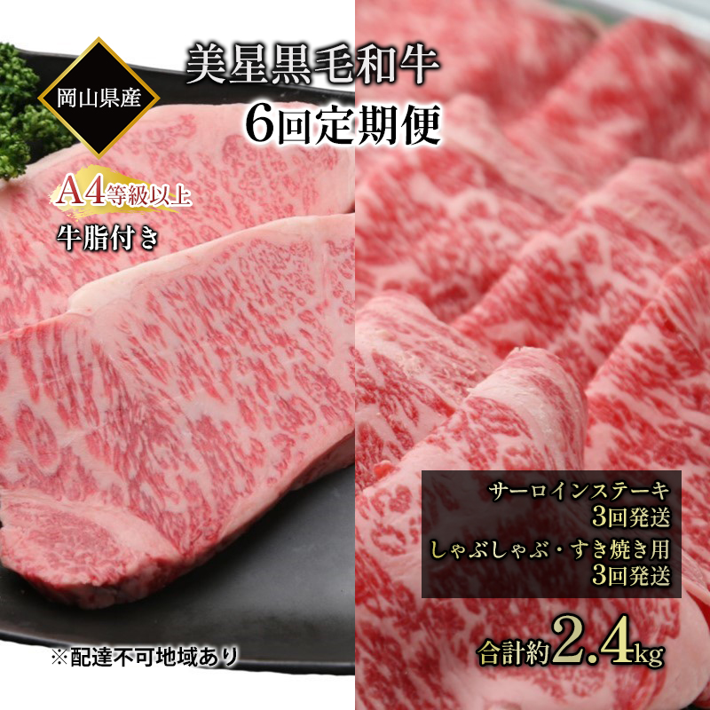 yRʖszјa  6񔭑 T[CXe[L 400g ×3 Ԃ Ă p 400g ×3 v 2.4kg A4 ȏ t T[C  q R