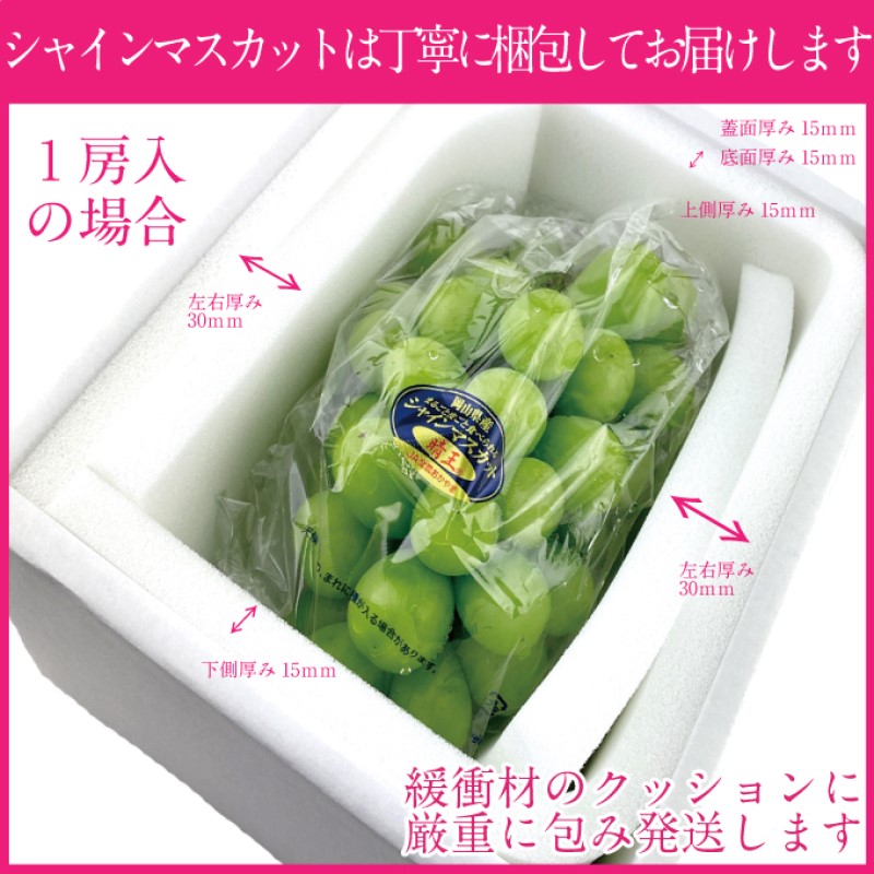 ぶどう☆様 ぶどう 2025年 先行予約 瀬戸 ジャイアンツ 2房（1房480g以上