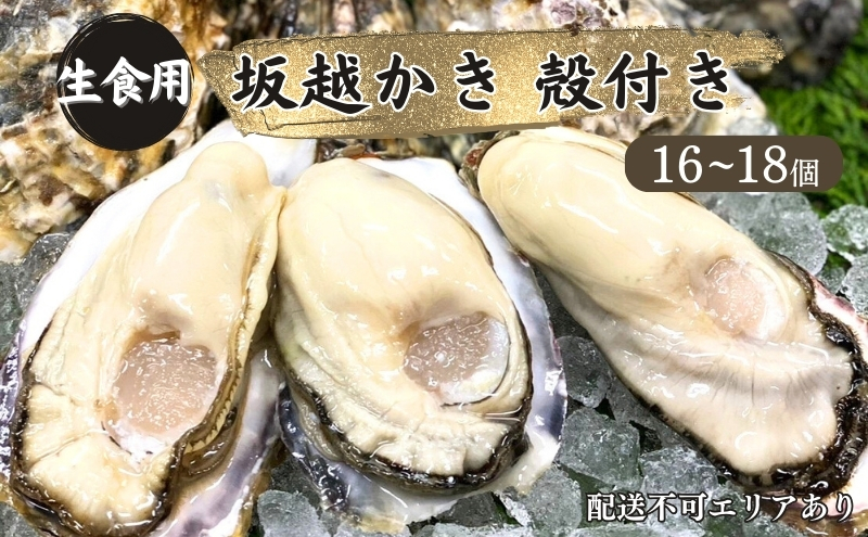 牡蠣 生食用 坂越かき 殻付き 16〜18個[ 生牡蠣 真牡蠣 かき カキ 冬牡蠣 ]