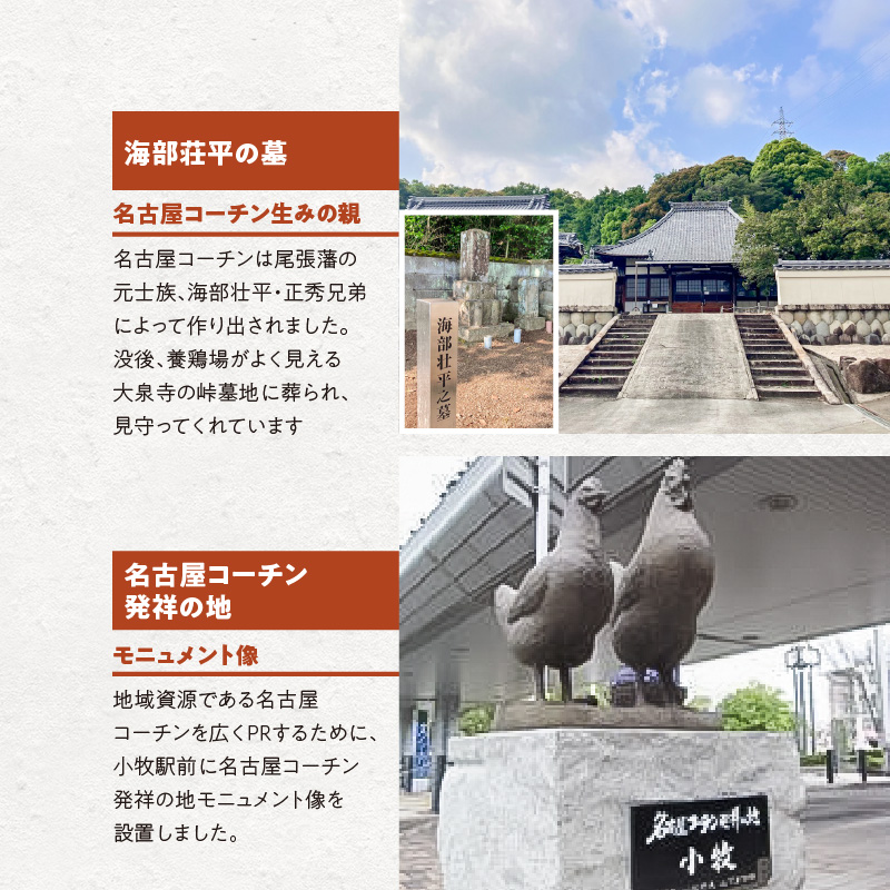 愛知県小牧市のふるさと納税 名古屋コーチン鍋ざんまいセット　ーひきずり（すき焼き）・寄せ鍋・水炊きにもー[003D04]