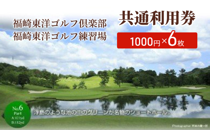 【兵庫県福崎町】福崎東洋ゴルフ倶楽部・福崎東洋ゴルフ練習場 共通利用券 1000円×6枚
