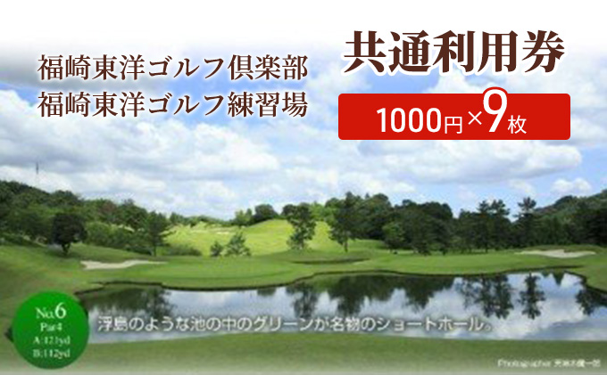 yɌ蒬z蓌mStyE蓌mStK ʗp 1000~×9