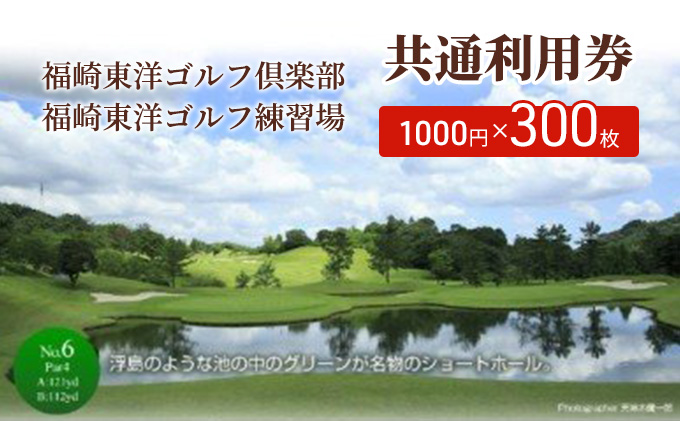 【兵庫県福崎町】福崎東洋ゴルフ倶楽部・福崎東洋ゴルフ練習場 共通利用券 1000円×300枚