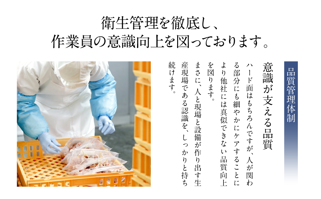 熊本県八代市のふるさと納税 九州産 焼き鳥 セット 60本 やきとり BBQ