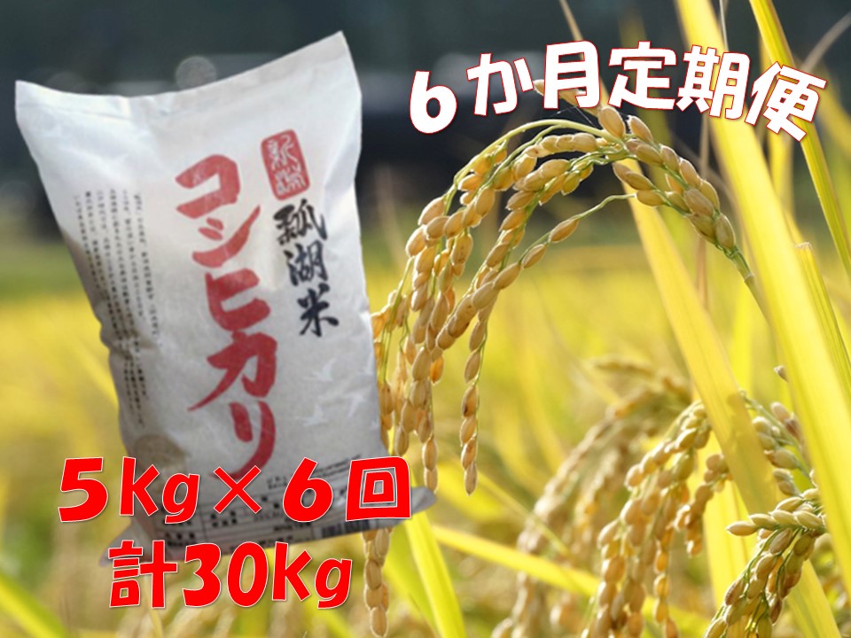 【令和6年産新米】【6ヶ月定期便】新潟産 コシヒカリ「瓢湖米」 5kg×6回 1N09063|株式会社　関口商店　　,  TEL：0250-62-2509, http://www.yamase21.com