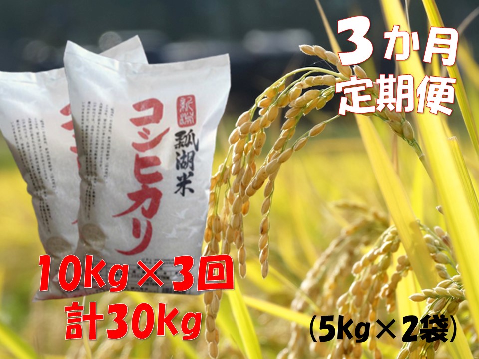 【令和6年産新米】【3ヶ月定期便】新潟産 コシヒカリ「瓢湖米」 10kg×3回 1N11062|株式会社　関口商店　　,  TEL：0250-62-2509, http://www.yamase21.com