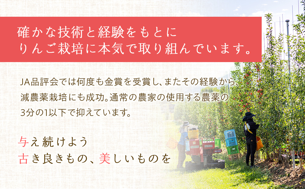 長野県箕輪町のふるさと納税 先行予約 りんご あいかの香り 約3kg セット 2024年 令和6年度発送分 リンゴ 林檎 長野 フルーツ 果物 信州産 長野県産 特産 産地直送 おすすめ