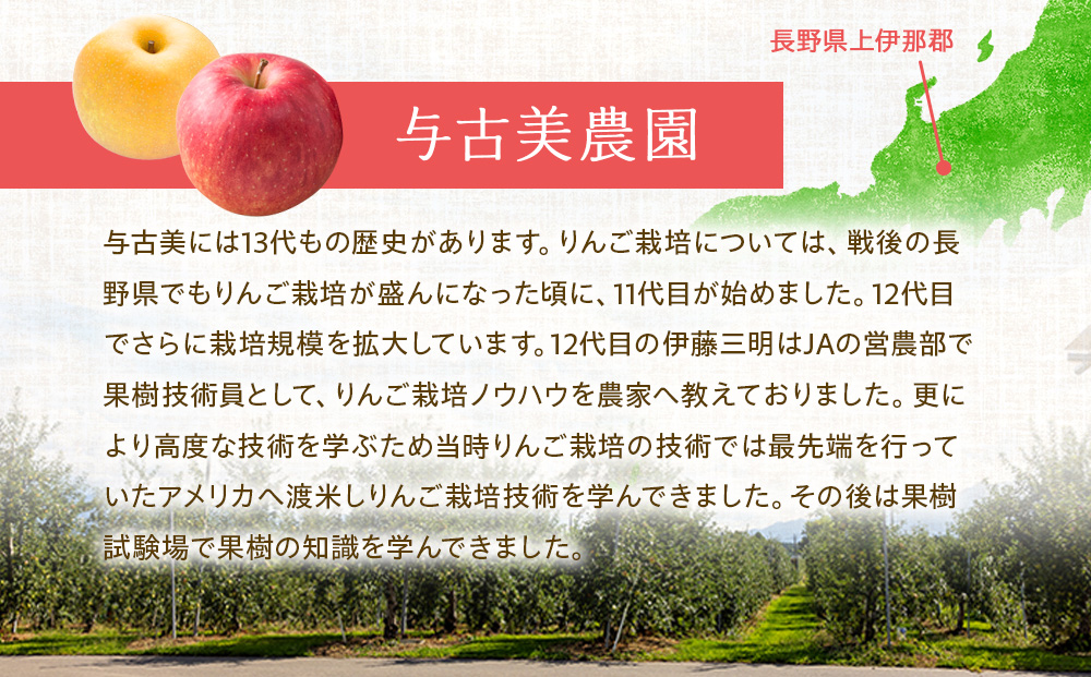 長野県箕輪町のふるさと納税 先行予約 訳あり りんご あいかの香り 約5kg セット 2024年 令和6年度発送分 リンゴ 林檎 長野 フルーツ 果物 信州産 長野県産 特産 産地直送 家庭用 おすすめ