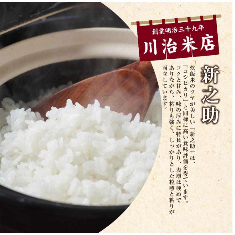 令和6年産 魚沼産 新之助 5kg 米 お米 コメ プレミアム米 新潟 令和6年産 魚沼産 新之助 5kg 米 お米 コメ プレミアム米 新潟