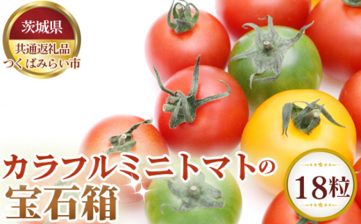 カラフルミニトマトの宝石箱 18粒[茨城県共通返礼品 つくばみらい市] / 野菜 とまと 詰合せ 茨城県