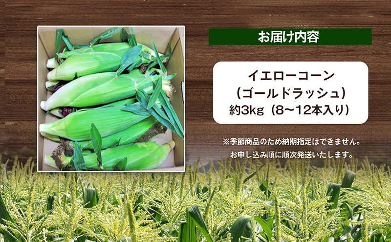 香川県東かがわ市のふるさと納税 イエローコーン（ゴールドラッシュ）約3kg