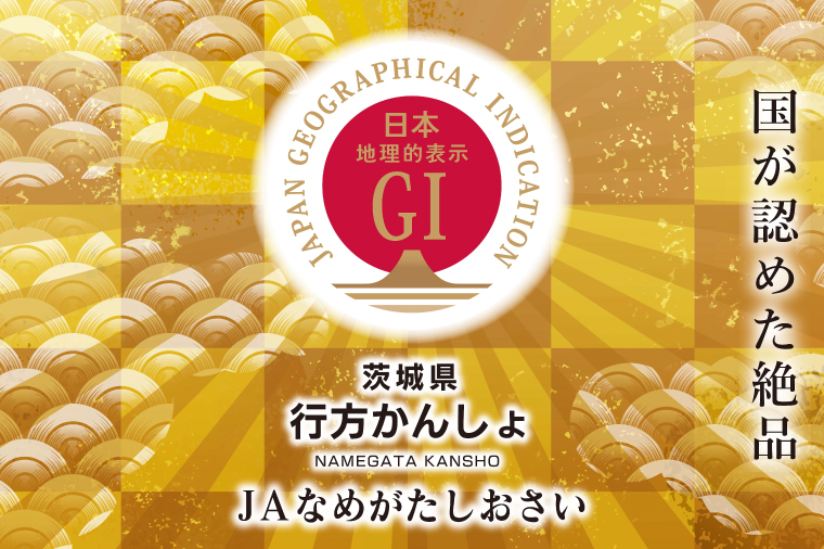 茨城県行方市のふるさと納税 AE-27【行方かんしょ】 『天皇杯受賞』JAなめがたしおさいの「冷凍焼き芋」（3本入×12袋）