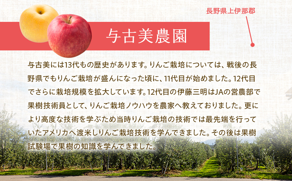 りんご シナノゴールド 5kg 2025年 令和7年発送 完熟りんご りんご シナノゴールド 5kg 2025年 令和7年発送 完熟りんご