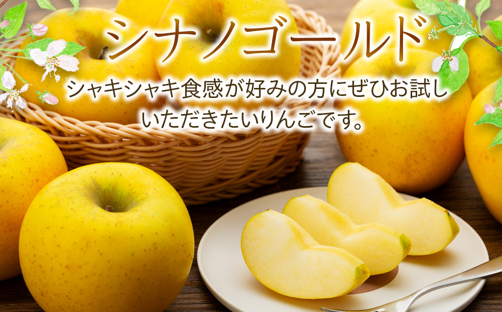 ふるさと納税 りんご あいかの香り 約3kg セット 2025年 令和7 ふるさと納税 りんご あいかの香り 約3kg セット 2025年 令和7