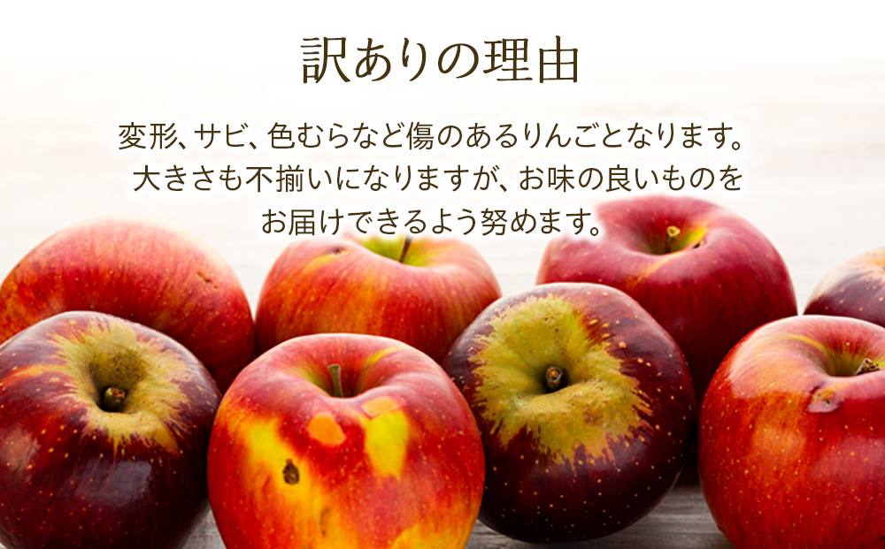 2024年/令和6年度発送分！先行予約】 訳あり 新品種！8月に食べられる