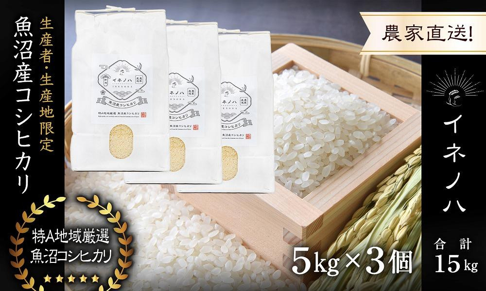 令和5年度産 新潟コシヒカリ 30kg 送料&精米無料（令和5年産